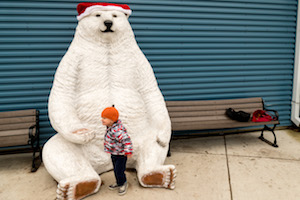 Polar bear and boy at zoo