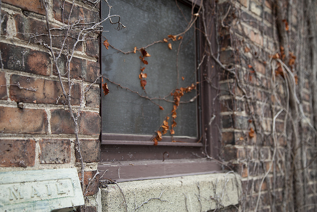 Photograph by Jennifer Bastian