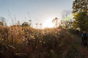Prairie field.