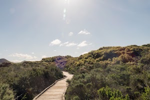 Elfin Forest Natural Area, California