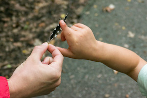 feather and child's hand