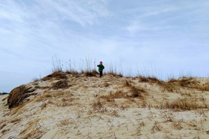 Child on sand dune at Virginia Beach